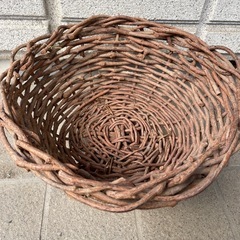 籐