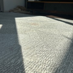 白カーペットの画像