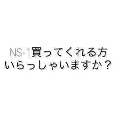 ns-1 値段応談