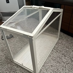 IKEA 温室　ソッケル　廃番品の画像