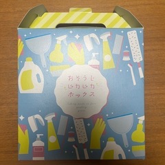 サニクリーン⭐︎お掃除ボックス
