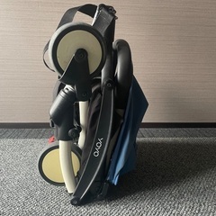 ベビーゼンyoyoの画像