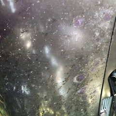 ミラココア　紫色　車検R9年4月の画像