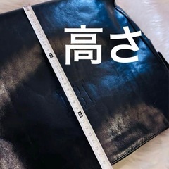 ヒロフレザートートの画像