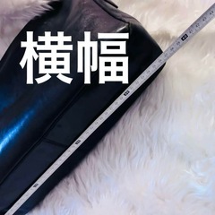ヒロフレザートートの画像