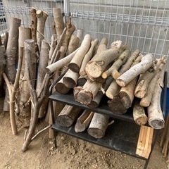 【お話し中】伐採した木