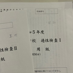 沖縄県立中学校　入学試験問題集　過去問　2セット　【お値下げしました】の画像