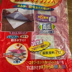 お値下げ‼︎省エネ　絨毯下に　二畳用　の画像