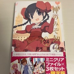 神のみぞ知るセカイ24巻