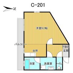 賃貸アパート　主要彩光面　南向き　女性限定 - 賃貸（マンション/一戸建て）