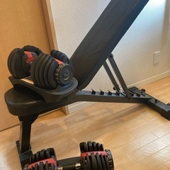 トレーニングベンチ&アジャスタブルダンベル×2