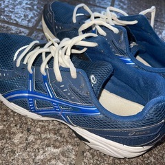 【26cm】asics 靴の画像