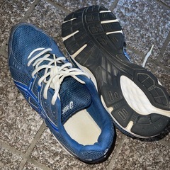 【26cm】asics 靴の画像
