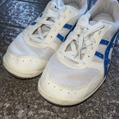 【26cm】asics 靴の画像
