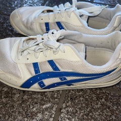 【26cm】asics 靴の画像