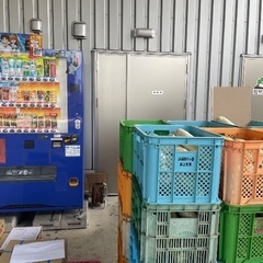 ダイコン差し上げます！