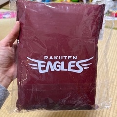 レインポンチョの画像