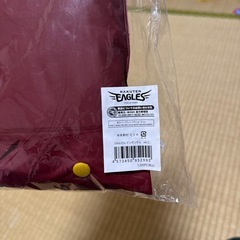 レインポンチョ
