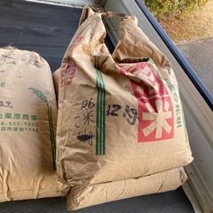 小米(くず米)  令和6年産コシヒカリ  2000円12kg  ...