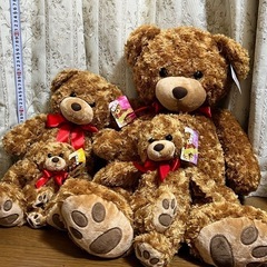 くまぬいぐるみ4体
