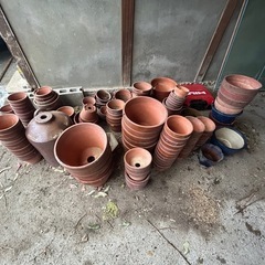 大量の植木鉢！