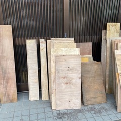 予定者がいます    合板　端材の画像