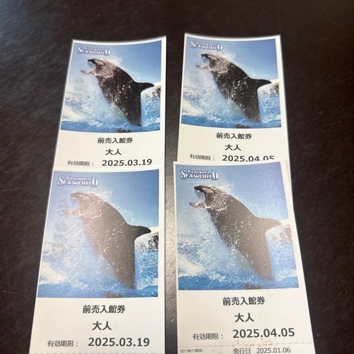 鴨川シーワールド　大人入館券　４枚セット