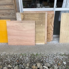 予定者がいます    合板　端材の画像