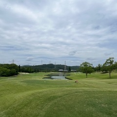 【20代30代・兵庫県】ゴルフしましょう⛳️