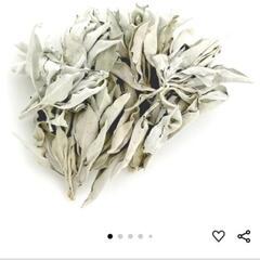説明欄必読　未開封品　ホワイトセージ　二袋