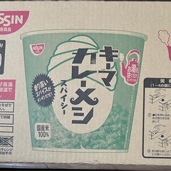 NISSIN キーマカレーメシ　スパイシー 　6食入り