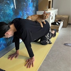 2/2ネコヨガ阿佐ヶ谷の保護猫カフェ - 杉並区