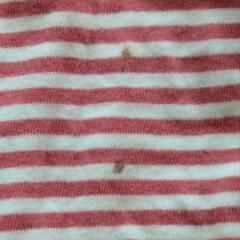 SHIPS 白のパーカー　裏側は赤白の横縞の画像