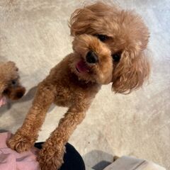 抱っこ大好き！甘えん坊さん！