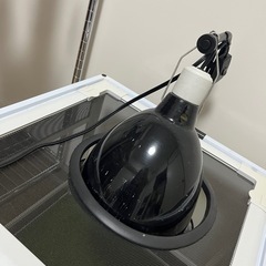 爬虫類ケージの画像