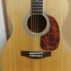 ❤️弦高調整済！「Mavis メイビス MF-500 NAT」イシバシ楽器さん！の画像