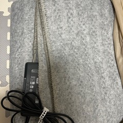 ホットカーペット ニトリ 1.5帖用の画像