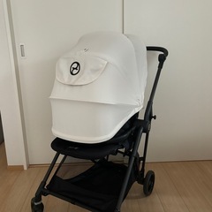 2023年 サイベックス メリオカーボン