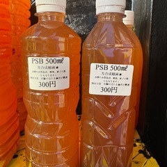 光合成バクテリア　PSB販売中！