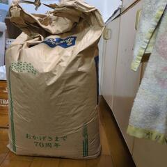 令和6年新米30キロ
