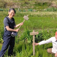 田んぼ体験　種蒔きから収穫まで　－自然農の米作り－