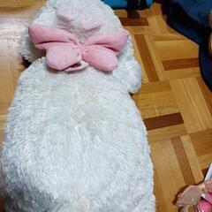 ディズニー等のキャラクターグッズの画像