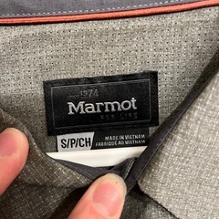 Marmotの画像