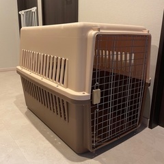 犬バリケン