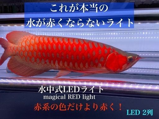アロワナマジカルレッド水中ライトほぼ新品