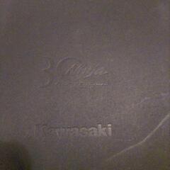 Kawasaki　Ninja