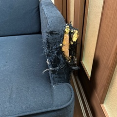 🛋️傷ありだからお得！青ソファセット🎯の画像