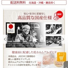 跳ね上げ式セミダブルベッドの画像