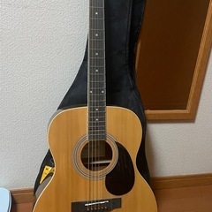 Sepia Crue FG-10/N ギター