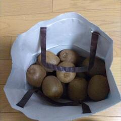 (決まりました！)キウイフルーツ19個食べ頃
